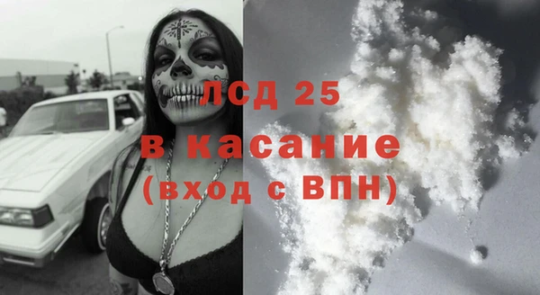 ГАЛЛЮЦИНОГЕННЫЕ ГРИБЫ Абаза