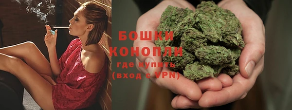 ГАЛЛЮЦИНОГЕННЫЕ ГРИБЫ Абаза