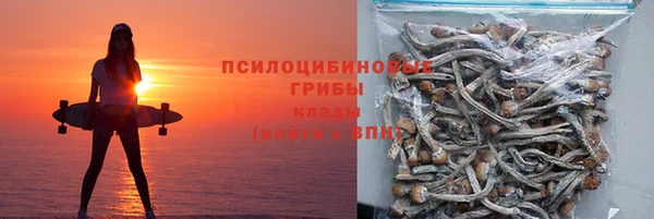 ГАЛЛЮЦИНОГЕННЫЕ ГРИБЫ Абаза