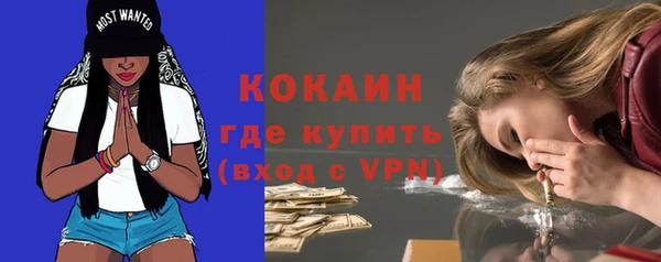 ГАЛЛЮЦИНОГЕННЫЕ ГРИБЫ Абаза