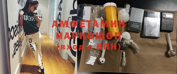 ГАЛЛЮЦИНОГЕННЫЕ ГРИБЫ Абаза