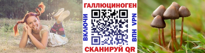 купить  цена  Эртиль  Псилоцибиновые грибы прущие грибы 